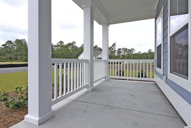 916 Piping Plover Ln unit Lot 44 Annandale, Myrtle Beach, SC 29577 - photo 4