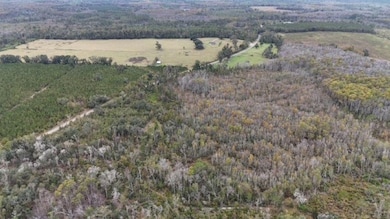 651 NW Flowers Rd, Madison, FL 32340 - photo 5