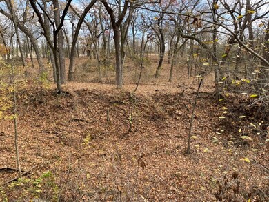 4028 Fall Creek Dr, Brock, TX 76087 - photo 2