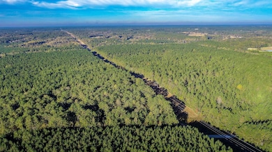 28 Acres Porter Hudson Rd, Sumrall, MS 39482 - photo 4