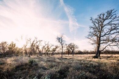 1639 Hollmig Ln, Fredericksburg, TX 78624 - photo 7
