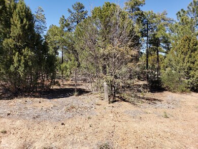 4180 Sugar Pine Loop