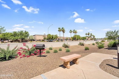 Surrounding Area