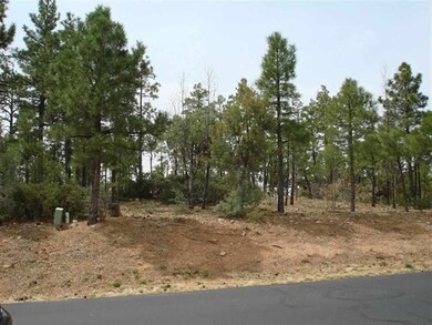 1161 E Pine Oaks, Show Low, AZ 85901 - photo 2