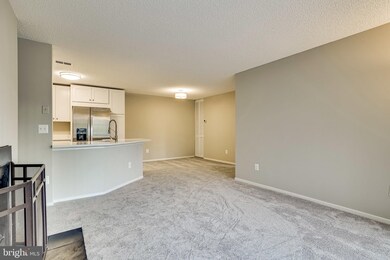 11739 Summerchase Cir unit 1739-A, Reston, VA 20194 - photo 2