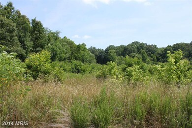 Queen Anne Bridge Rd, Davidsonville, MD 21035 - photo 5