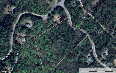 TBD Buck Mountain Rd unit 21, Purlear, NC 28665 - photo 4