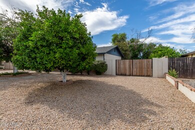 4351 E Villa Maria Dr, Phoenix, AZ 85032 - photo 6