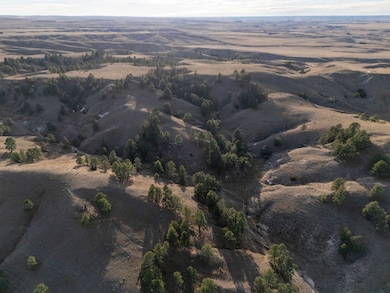 Tbd 448 Trail, Hay Springs, NE 69347 - photo 4