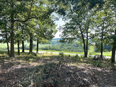 16 Piche Dr, Isabella, MO 65676 - photo 3