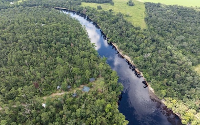 TBD NE 185th Rd, Live Oak, FL 32060 - photo 2