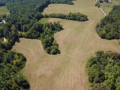 1809 Coles Chapel Rd, Sparta, TN 38583 - photo 4