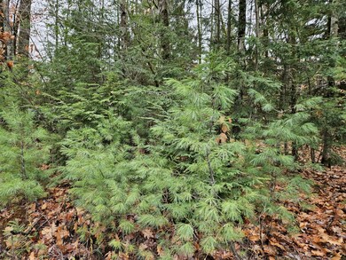 20251111_121617_result