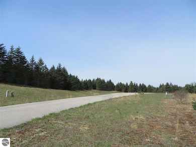 1 Spruce Hollow Trace, Fife Lake, MI 49633 - photo 6