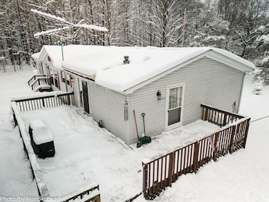 7830 Jefferson St, Hesperia, MI 49421 - photo 4