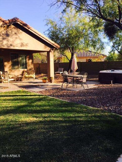 backyard 4