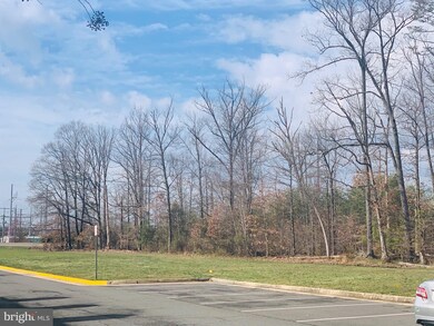 11235 Wortham Crest Cir unit 74, Manassas, VA 20109 - photo 3