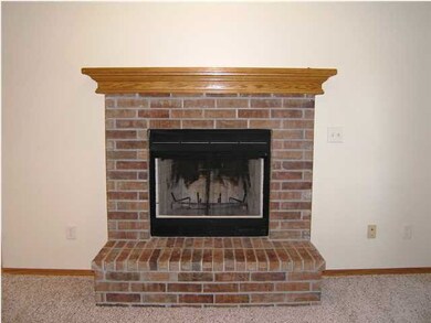 A close-up of the wood-burning fireplace.