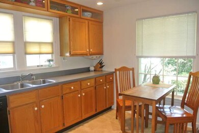 317 N Jefferson St, Batavia, IL 60510 - photo 7