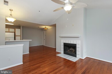 4401 Silverbrook Ln unit B301, Owings Mills, MD 21117 - photo 6