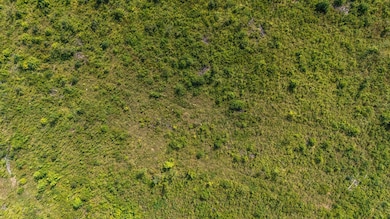 11ac Ouzts Rd, Edgefield, SC 29824 - photo 7