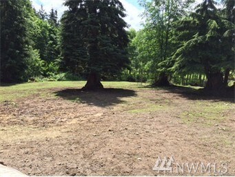 25411 Ebey Mountain Rd, Arlington, WA 98223 - photo 4