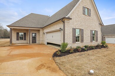 735 Rikard Dr, Hernando, MS 38632 - photo 3