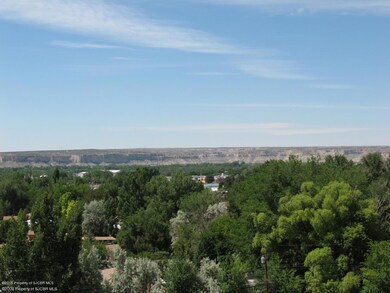 2825 Brittlebrush Dr, Farmington, NM 87402 - photo 5