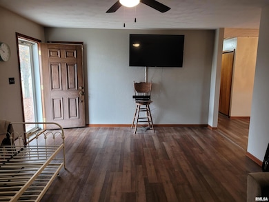 469 Main St, Radom, IL 62876 - photo 5