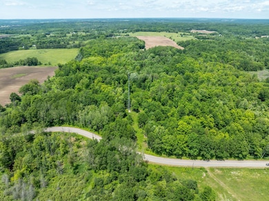 35-web-or-mls-DJI_0483