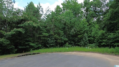 5601 Barclay Cir, Trussville, AL 35173 - photo 5