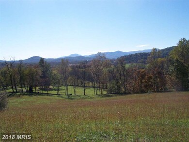 0 Tiger Valley Rd unit 1003961819, Washington, VA 22747 - photo 4