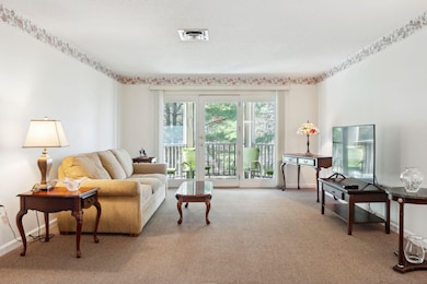 3 Mayfair Ln unit U308, Nashua, NH 03063 - photo 6