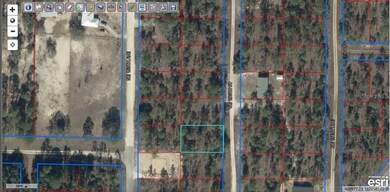 0 NE 150th Ct unit MFRGC535556, Williston, FL 32696 - photo 2