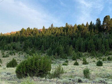 Tree covered hillside to the south