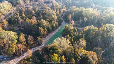 TBD Rodney Rd, Port Gibson, MS 39150 - photo 6
