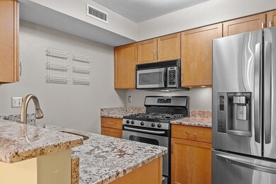 Kelton Place Condominiums unit 717, Allston, MA 02134 - photo 7