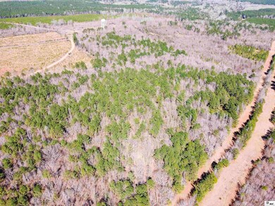 0 China Grove Rd, Ruston, LA 71270 - photo 7