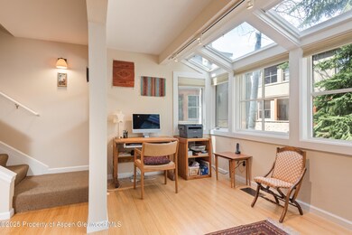 100 N 8th St unit 26, Aspen, CO 81611 - photo 6