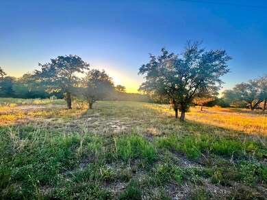 TBD Sandpiper Dr, Weatherford, TX 76088 - photo 4