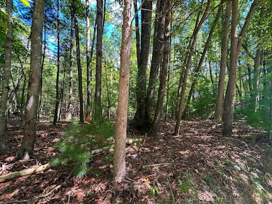 0 Muddy Creek Mountain Rd, Lewisburg, WV 24901 - photo 5