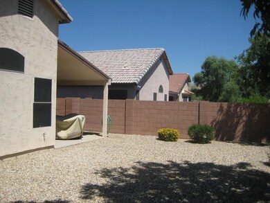 Back Yard & Rear Patio