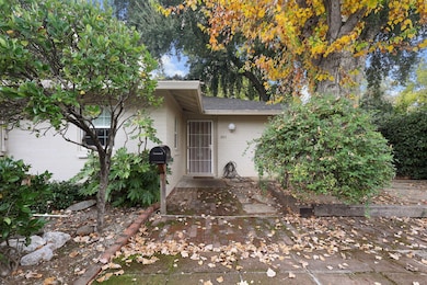 32-web-or-mls-8Q0A8484