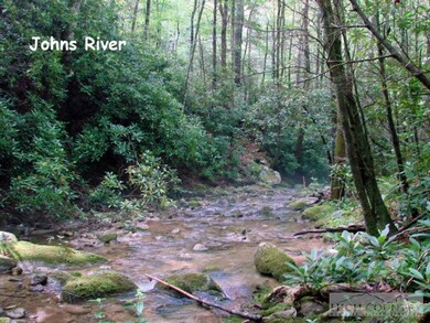 000 Globe Rd, Blowing Rock, NC 28605 - photo 3