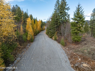 0 Lot 4 Braden Estates unit 25-10576, Priest River, ID 83856 - photo 7