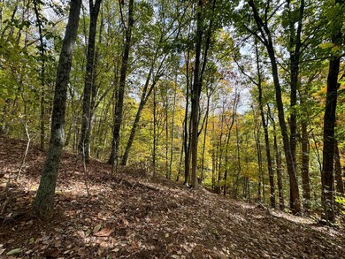 7447 Township Road 215a unit (Tract 6 at Shawnee, Corning, OH 43730 - photo 4