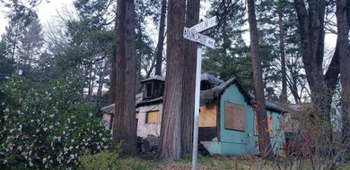 4427 Dunsmuir Ave, Dunsmuir, CA 96025 - photo 3