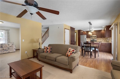 9132 Reed Rd, North Ridgeville, OH 44039 - photo 7