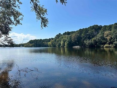 Lot 111 Oak River, Frankston, TX 75763 - photo 4