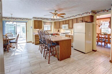 8707 Forest View Dr, Olmsted Falls, OH 44138 - photo 6